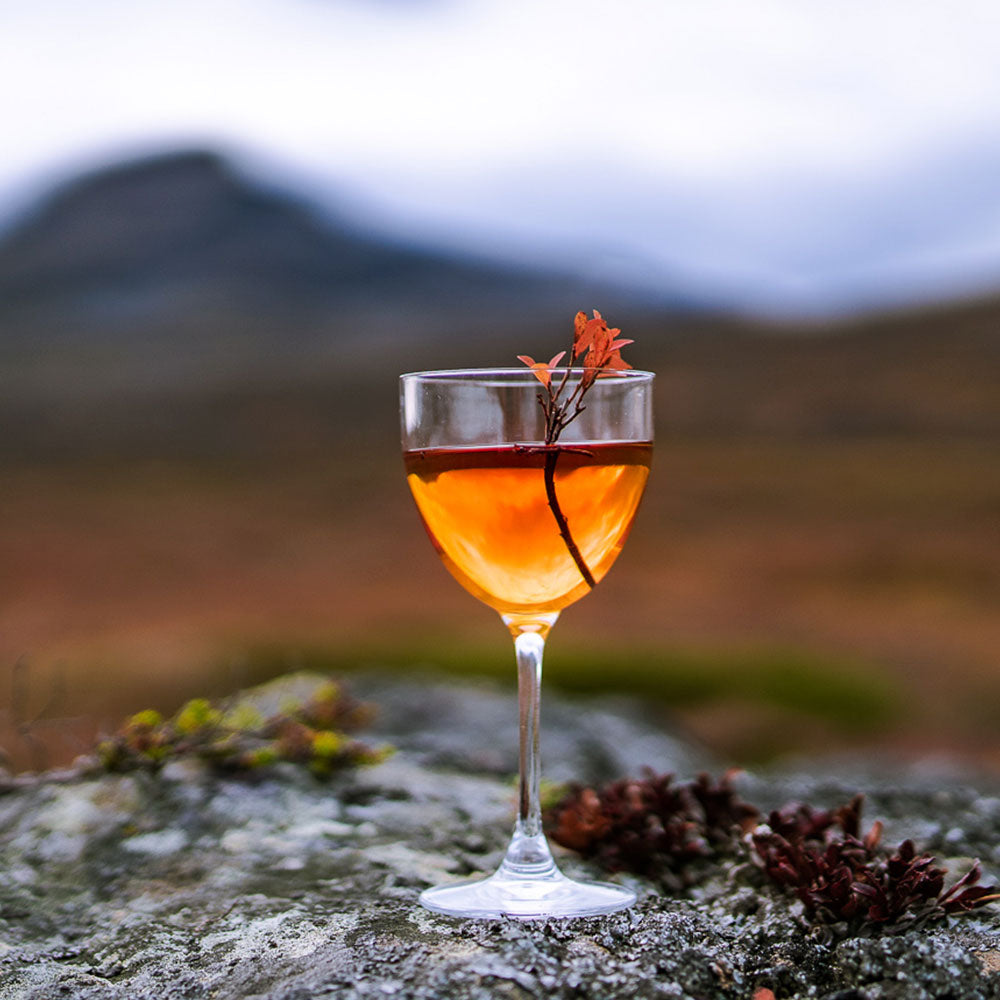 Nordic Negroni Cloudberry "Hjortron" (5875547603097)