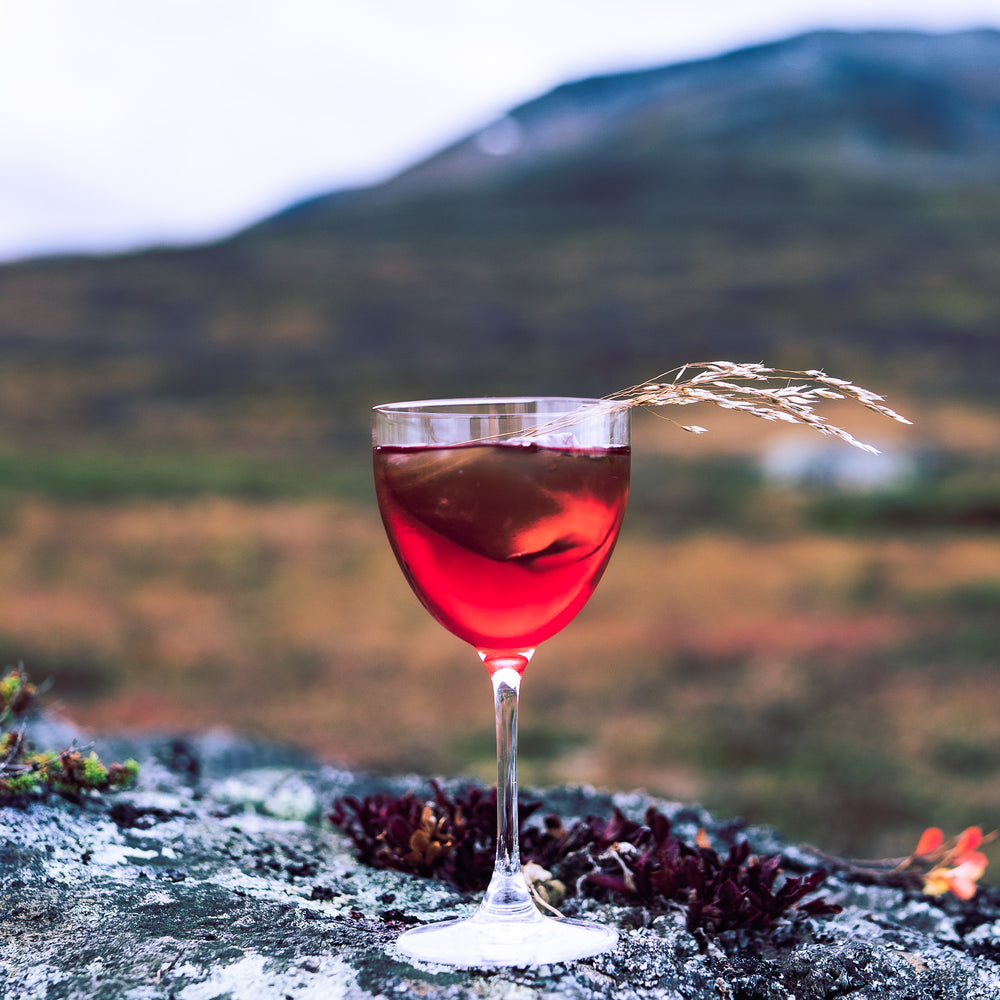 Nordic Negroni Lingonberry & Bilberry "Lingon & Blåbär" (5875601965209)