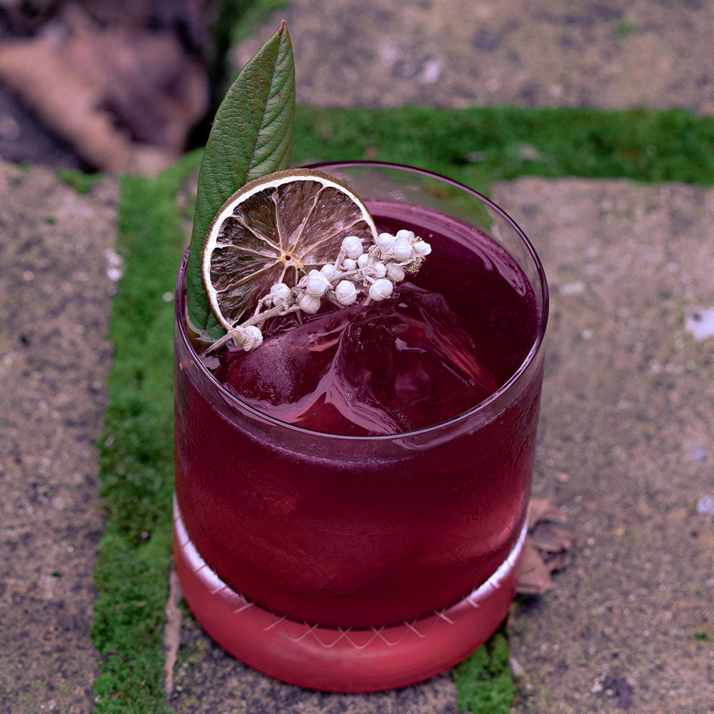 Winter Berry Margarita (5939874726041)