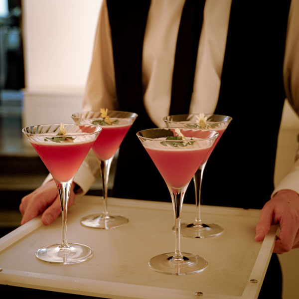 
                    Load image into Gallery viewer, DIY Lingonberry Cosmo | 2 serves
                