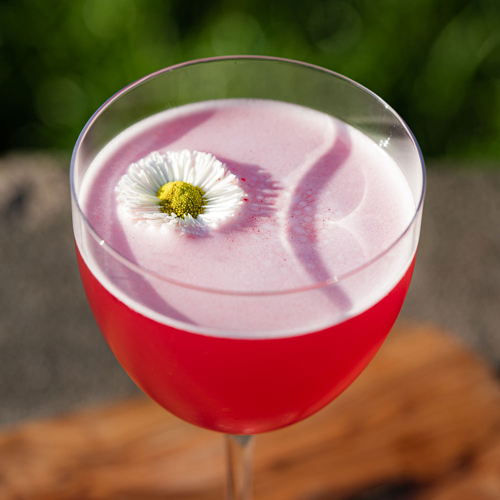 
                    Load image into Gallery viewer, DIY Lingonberry Cosmo | 2 serves
                