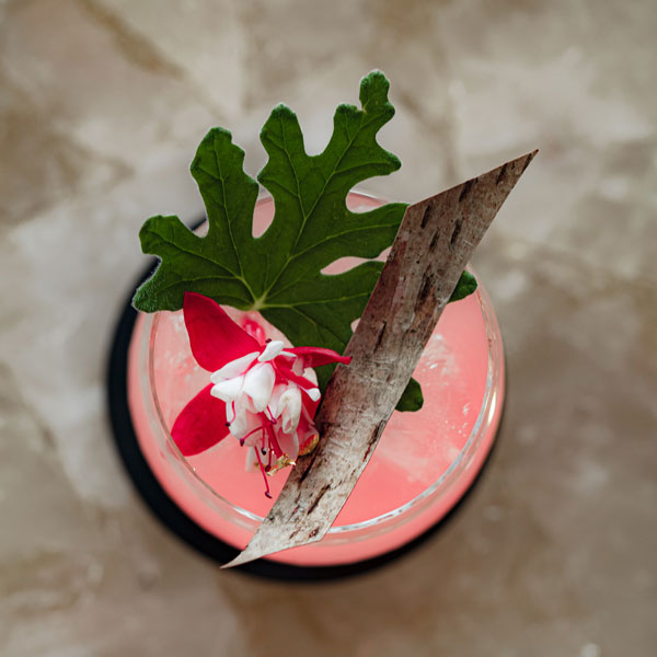 
                    Load image into Gallery viewer, The DIY Foragers Margarita
                