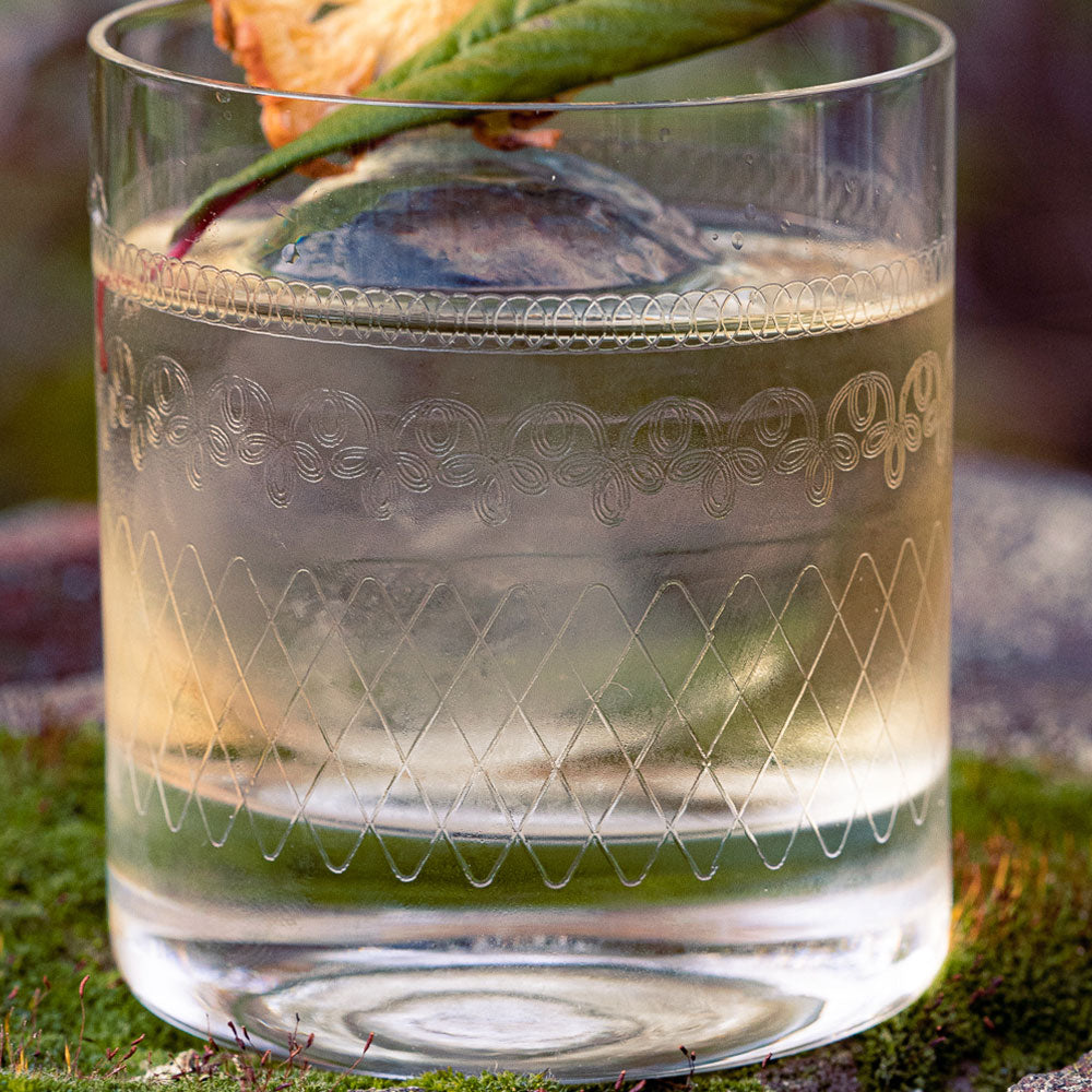 
                    Load image into Gallery viewer, Old Fashioned Tumbler Glass 30cl | set of 2
                
