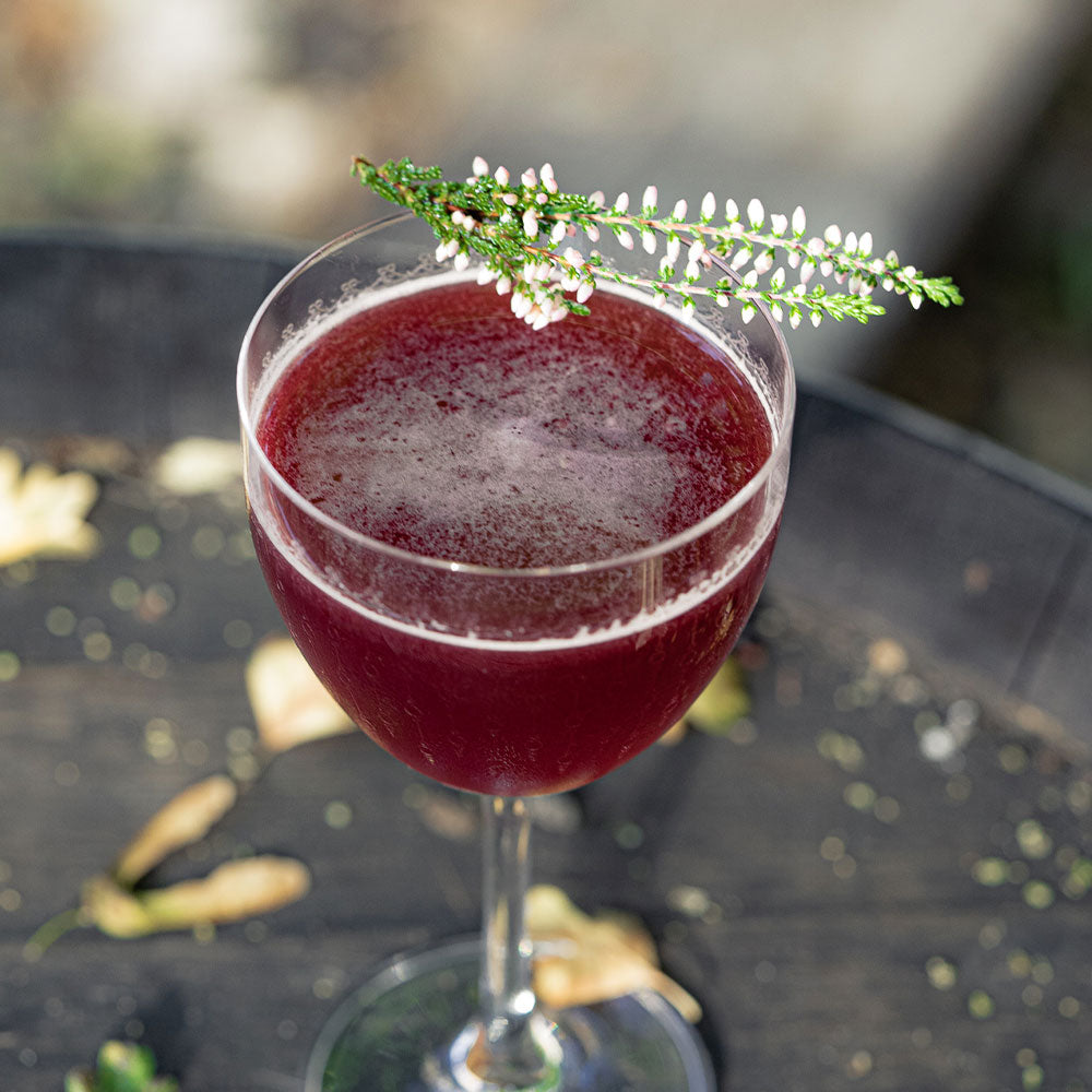 DIY Clementine & Elderberry Gimlet (5875825803417)