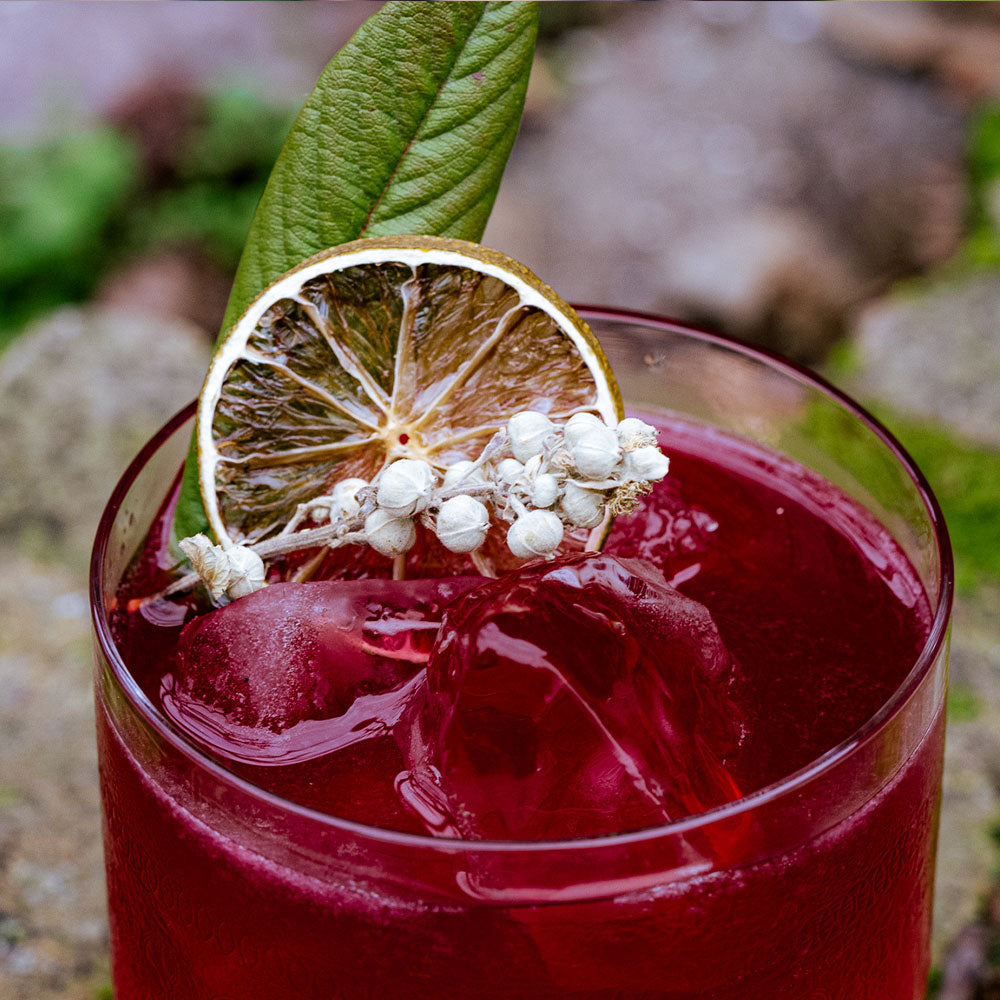 
                    Load image into Gallery viewer, DIY Bramble Margarita | 2 serves
                