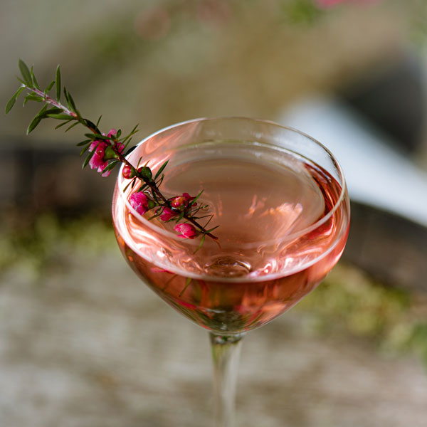 
                    Load image into Gallery viewer, DIY Blushed Summer Punch | 2 serves
                