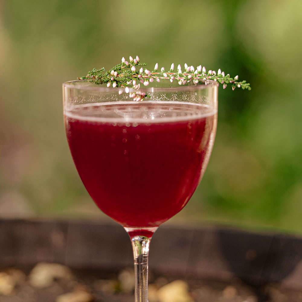 
                    Load image into Gallery viewer, DIY Clementine &amp;amp; Elderberry Gimlet (5875825803417)
                