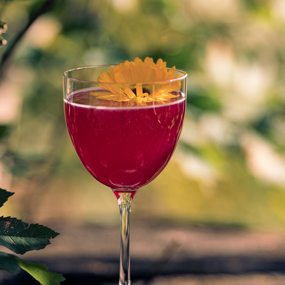 
                    Load image into Gallery viewer, DIY Lingonberry Cosmo | 2 serves
                